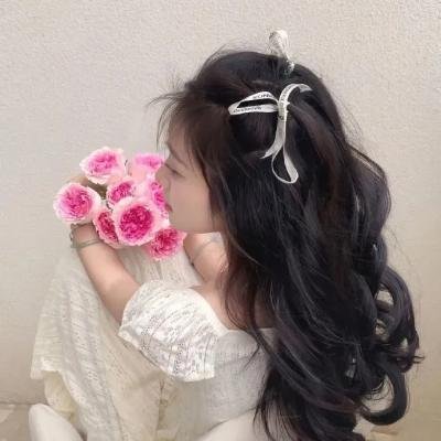 探索白蚁密室